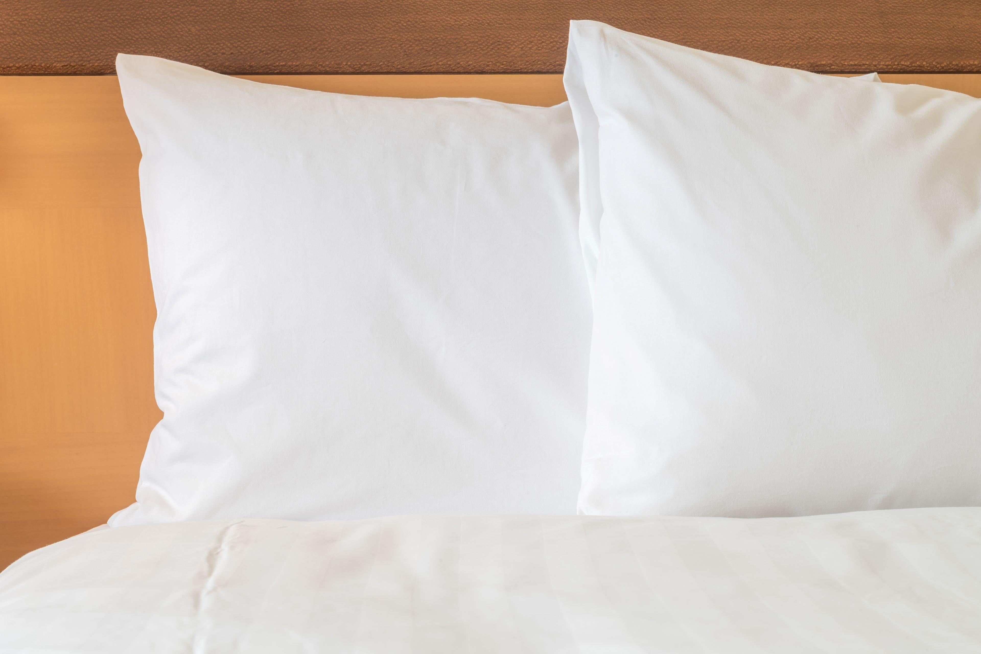 Holiday Inn Asheville East-Blue Ridge Pkwy By Ihg Eksteriør billede