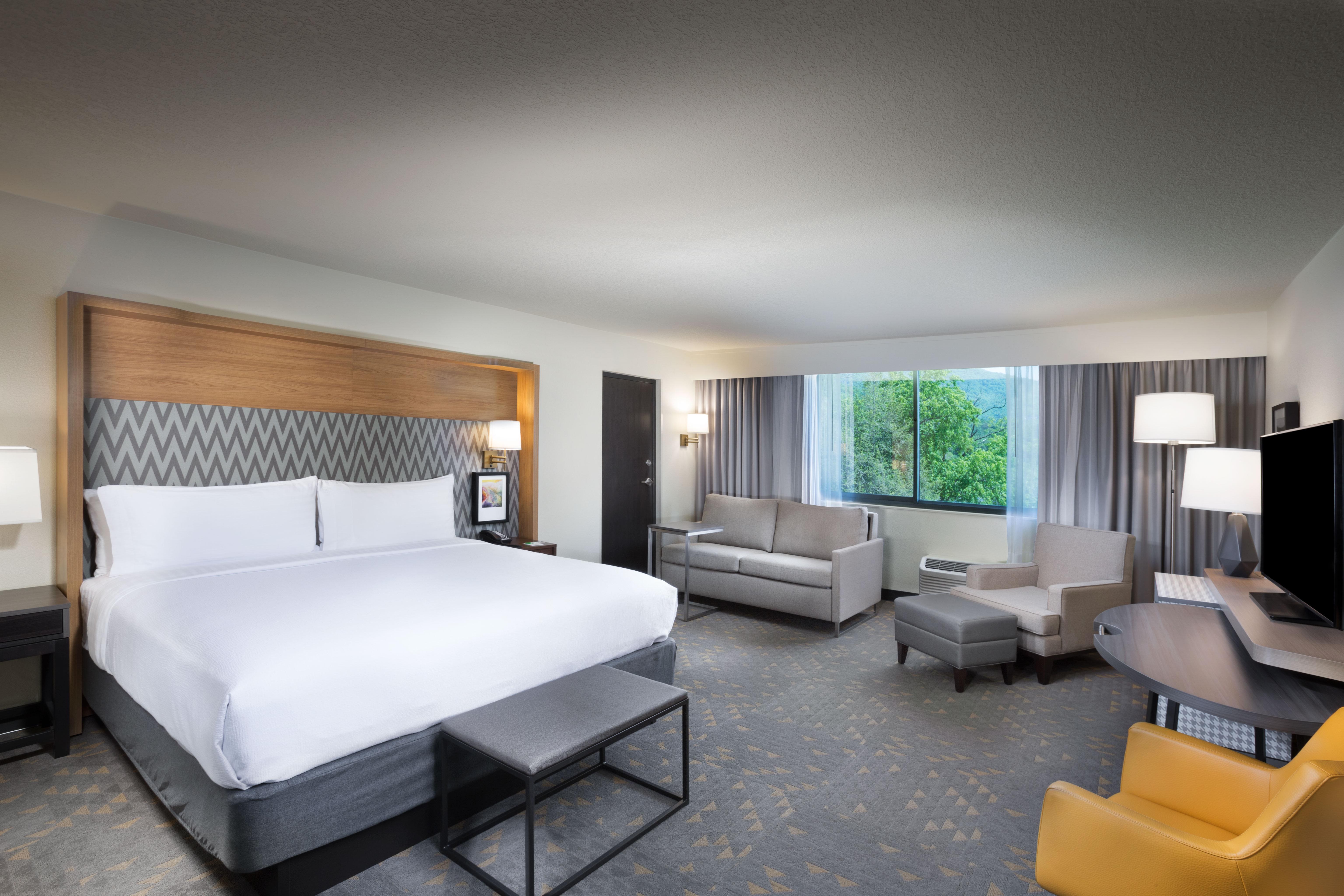 Holiday Inn Asheville East-Blue Ridge Pkwy By Ihg Eksteriør billede
