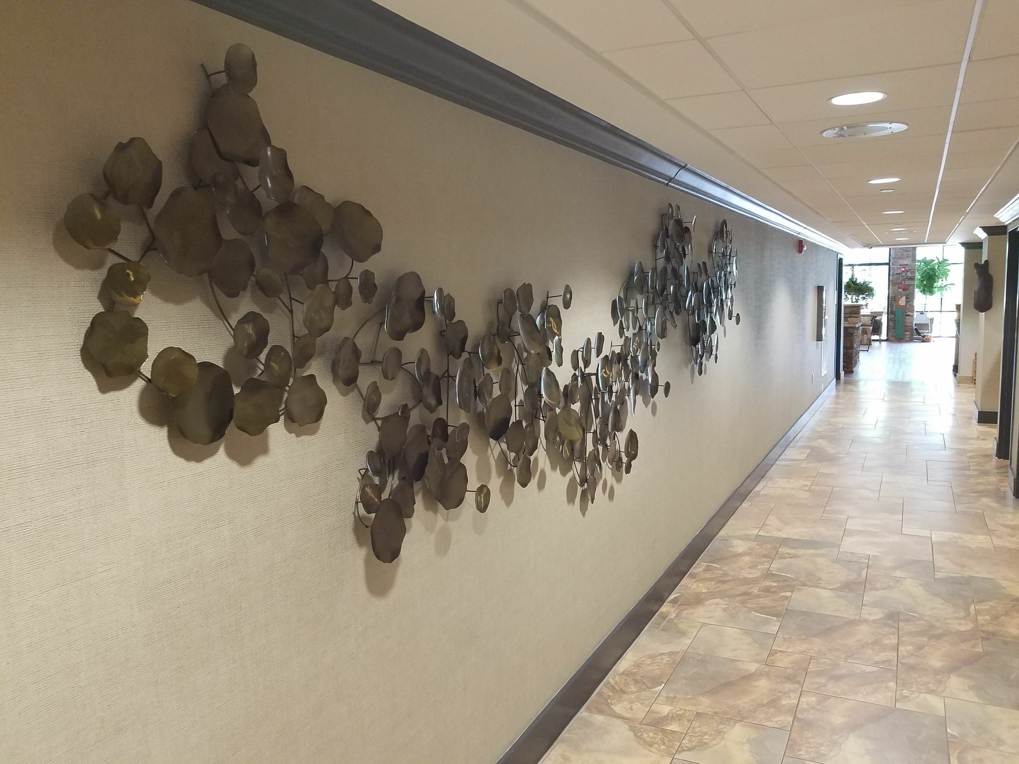 Holiday Inn Asheville East-Blue Ridge Pkwy By Ihg Eksteriør billede